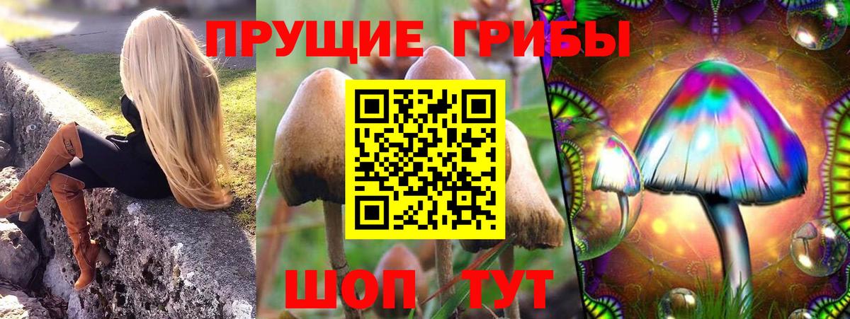 Псилоцибиновые грибы Magic Shrooms  Вход с VPN  Галлюциногенные грибы мицелий  Ишим 